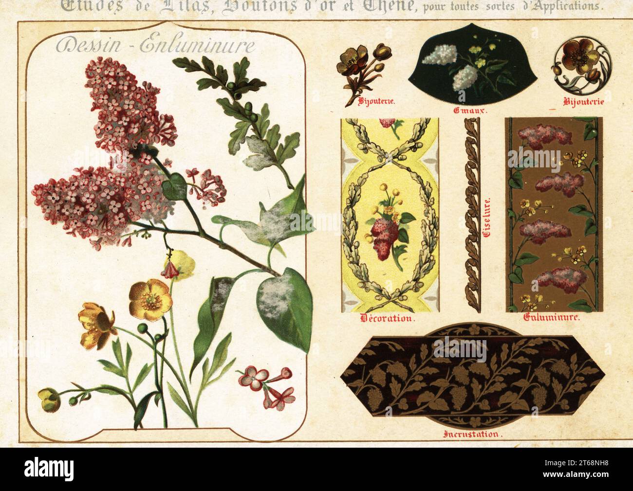 Images of lilac, buttercup and oak from manuscripts and their applications in jewelry, enamel, decoration, ciselure and encrustation. Chromolithograph designed and lithographed by Ernst Guillot from his Flowers After Nature and Ornamental Flowers, Fleurs d`apres Nature et fleurs ornementales, Paris, 1890. Stock Photo